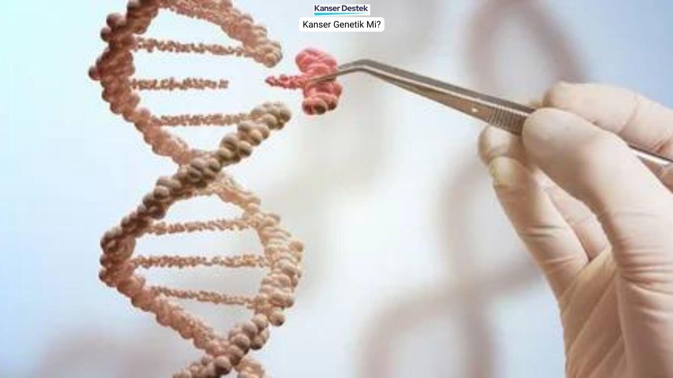 Kanser Genetik Mi? En Sık Sorulan 4 Soru ve Cevabı