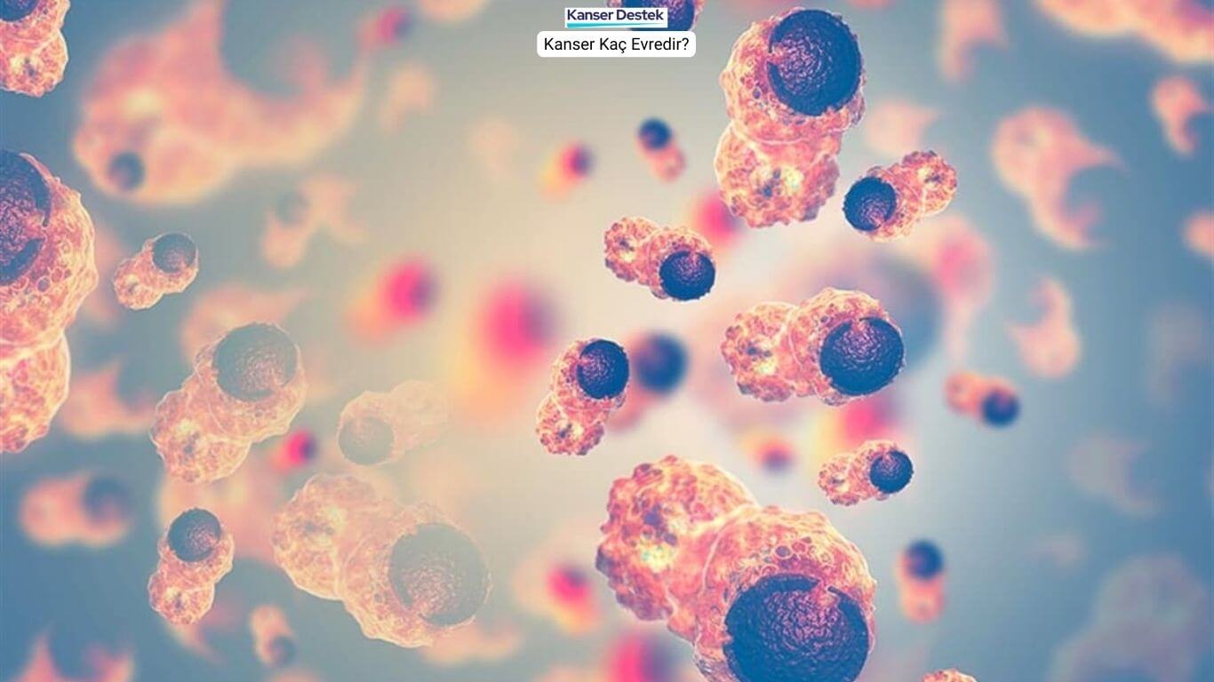 Kanser kaç evredir